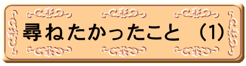 尋ねたかったこと （１）