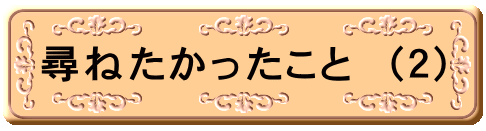 尋ねたかったこと （２）