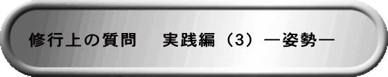 修行上の質問 　実践編（３）―姿勢―