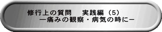 修行上の質問 　実践編（５）　 　　―痛みの観察・病気の時に－