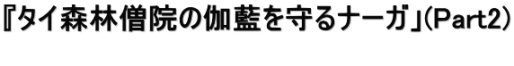 『タイ森林僧院の伽藍を守るナーガ」(Part2) 