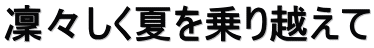 凜々しく夏を乗り越えて